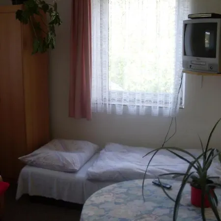 U Kastanu 3* Karlovy Vary